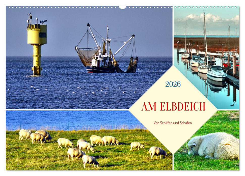 Am Elbdeich - Von Schiffen und Schafen (CALVENDO Wandkalender 2026)
