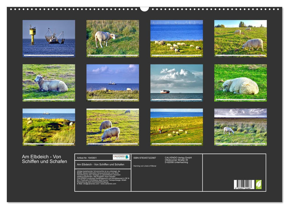 Am Elbdeich - Von Schiffen und Schafen (CALVENDO Wandkalender 2026)