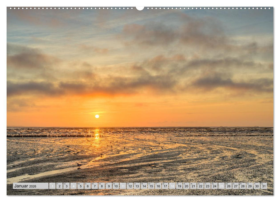 Wunderschönes Amrum (CALVENDO Premium Wandkalender 2026)