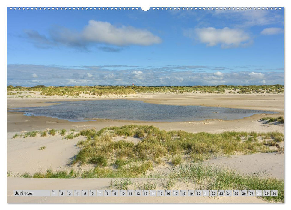 Wunderschönes Amrum (CALVENDO Premium Wandkalender 2026)