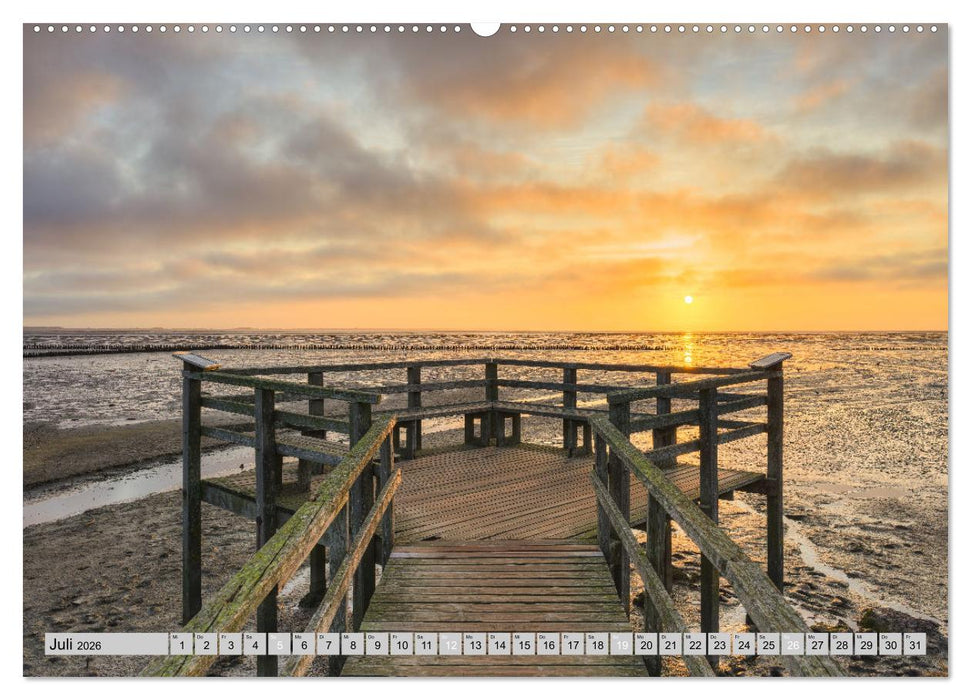 Wunderschönes Amrum (CALVENDO Premium Wandkalender 2026)