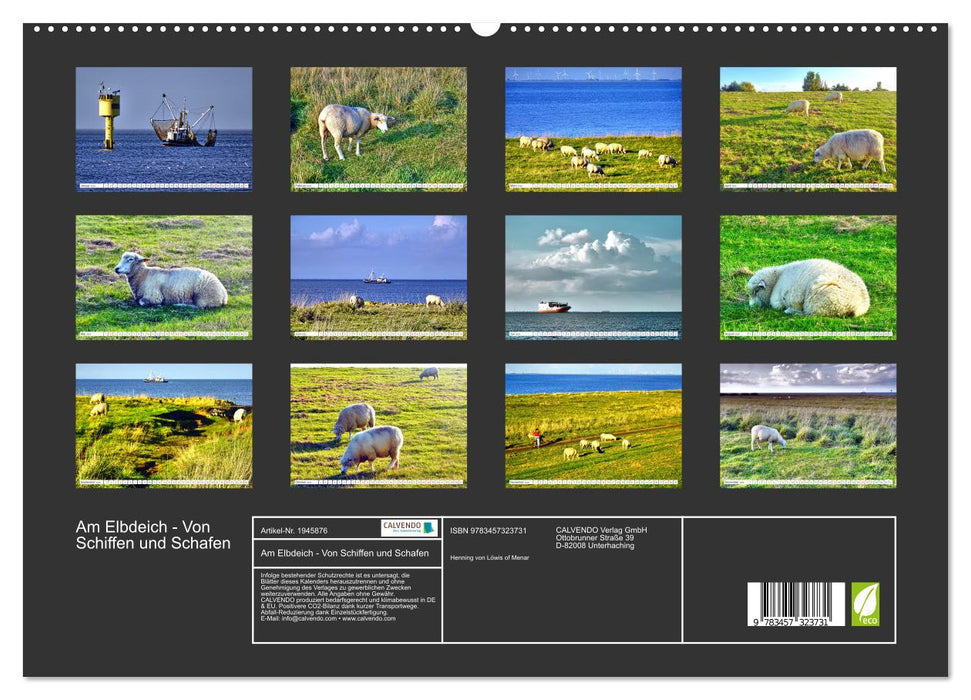 Am Elbdeich - Von Schiffen und Schafen (CALVENDO Premium Wandkalender 2026)