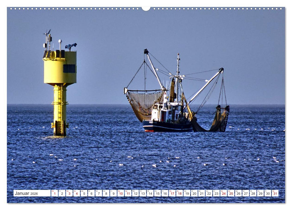 Am Elbdeich - Von Schiffen und Schafen (CALVENDO Premium Wandkalender 2026)