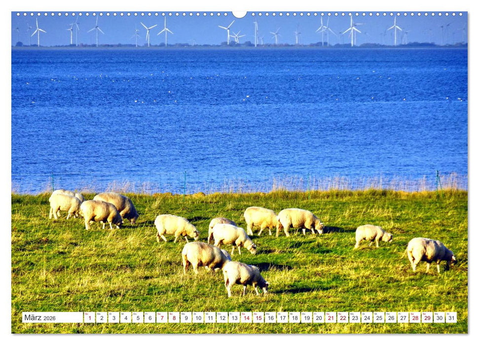 Am Elbdeich - Von Schiffen und Schafen (CALVENDO Premium Wandkalender 2026)
