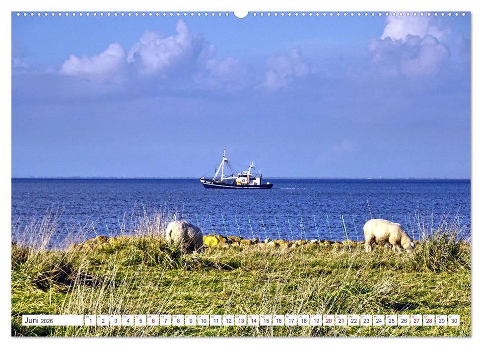 Am Elbdeich - Von Schiffen und Schafen (CALVENDO Premium Wandkalender 2026)