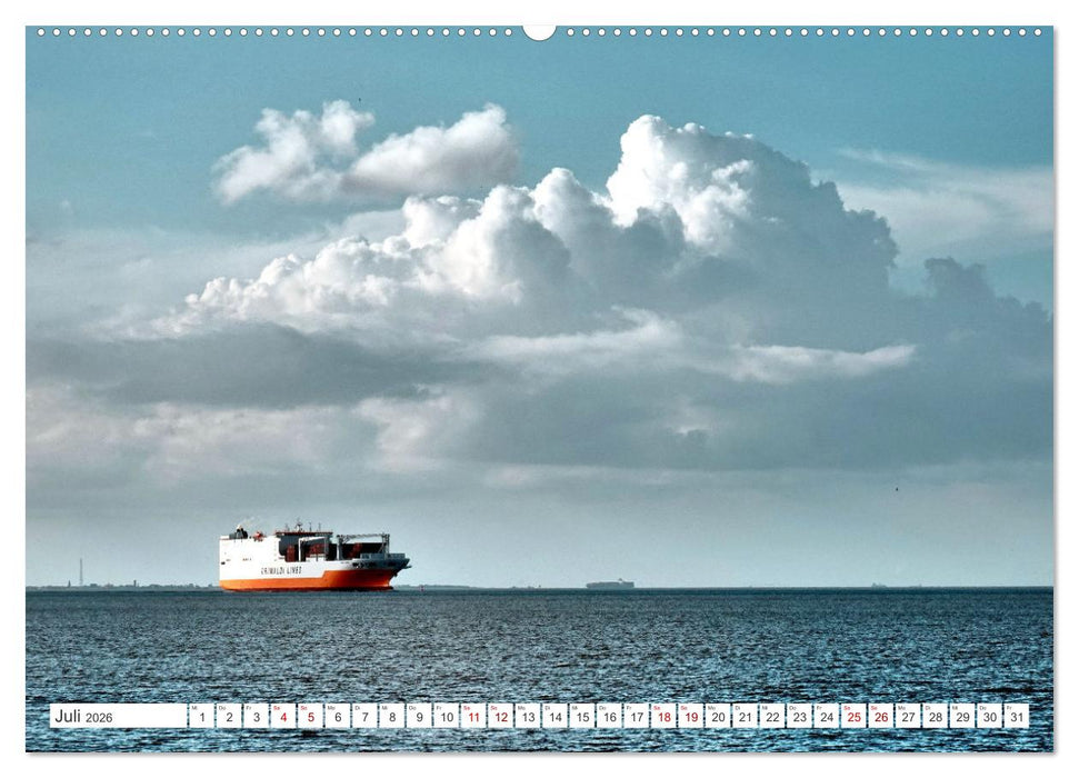 Am Elbdeich - Von Schiffen und Schafen (CALVENDO Premium Wandkalender 2026)