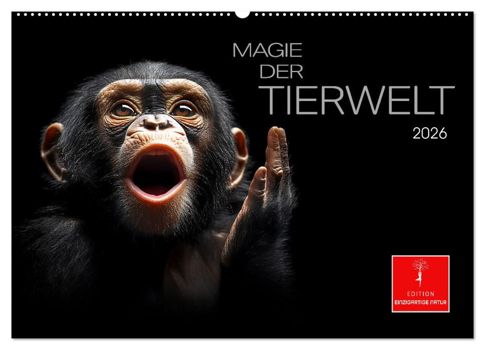 Magie der Tierwelt (CALVENDO Wandkalender 2026)