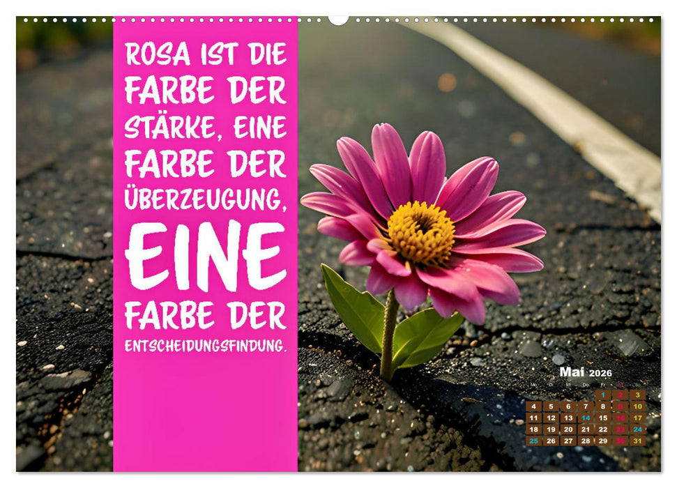 Lieblingsfarbe Rosa - mit coolen Sprüchen (CALVENDO Wandkalender 2026)