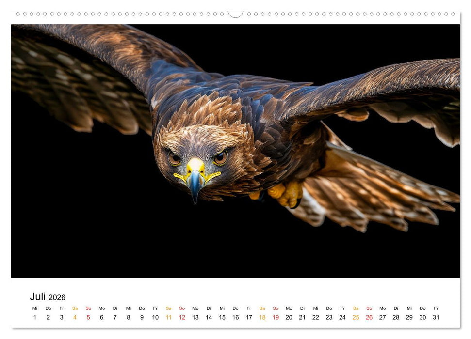 Wilde Heimat - Tiere unserer Natur (CALVENDO Premium Wandkalender 2026)