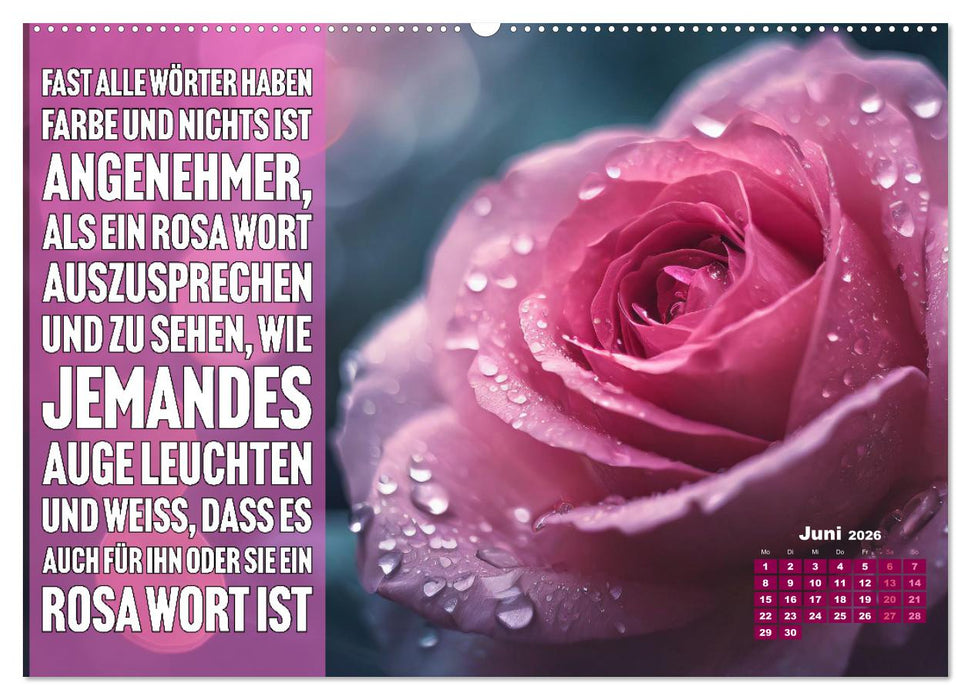 Lieblingsfarbe Rosa - mit coolen Sprüchen (CALVENDO Premium Wandkalender 2026)
