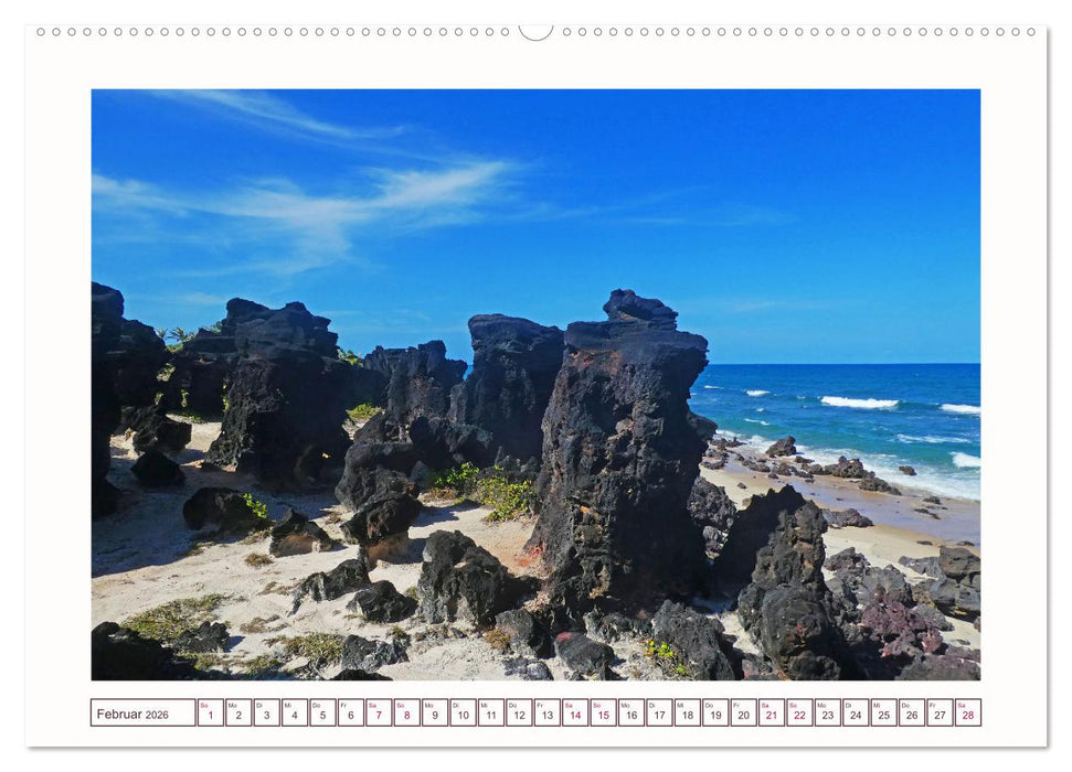 Natures-Designs - farbenfrohe Felsküsten in Brasilien (CALVENDO Premium Wandkalender 2026)