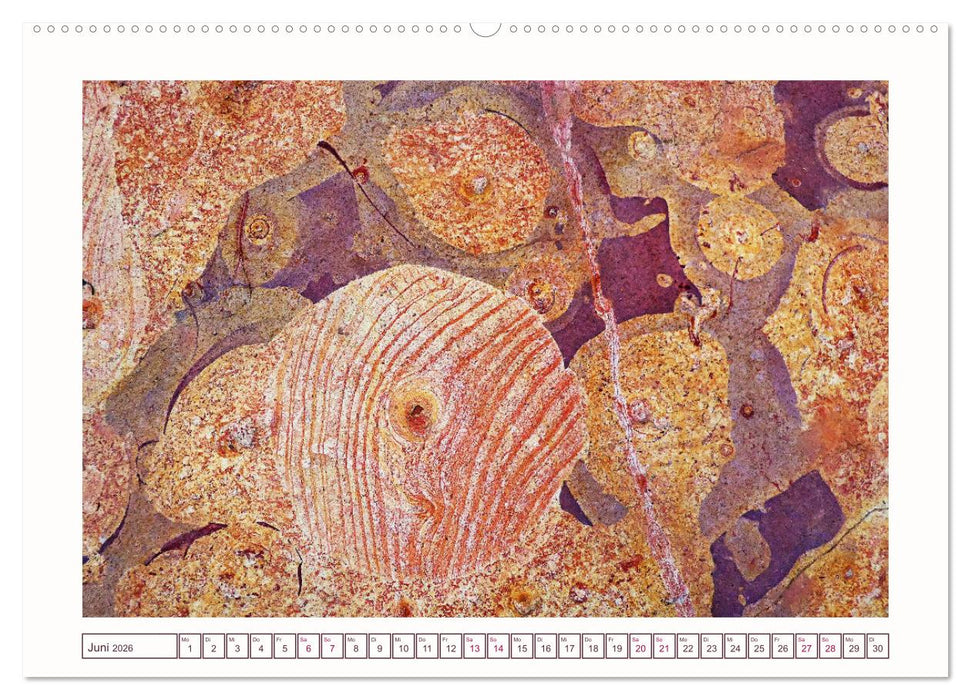 Natures-Designs - farbenfrohe Felsküsten in Brasilien (CALVENDO Premium Wandkalender 2026)