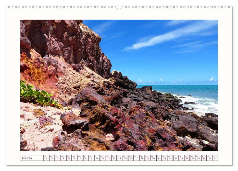 Natures-Designs - farbenfrohe Felsküsten in Brasilien (CALVENDO Premium Wandkalender 2026)