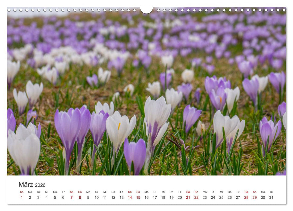 Naturwunder Berge (CALVENDO Wandkalender 2026)
