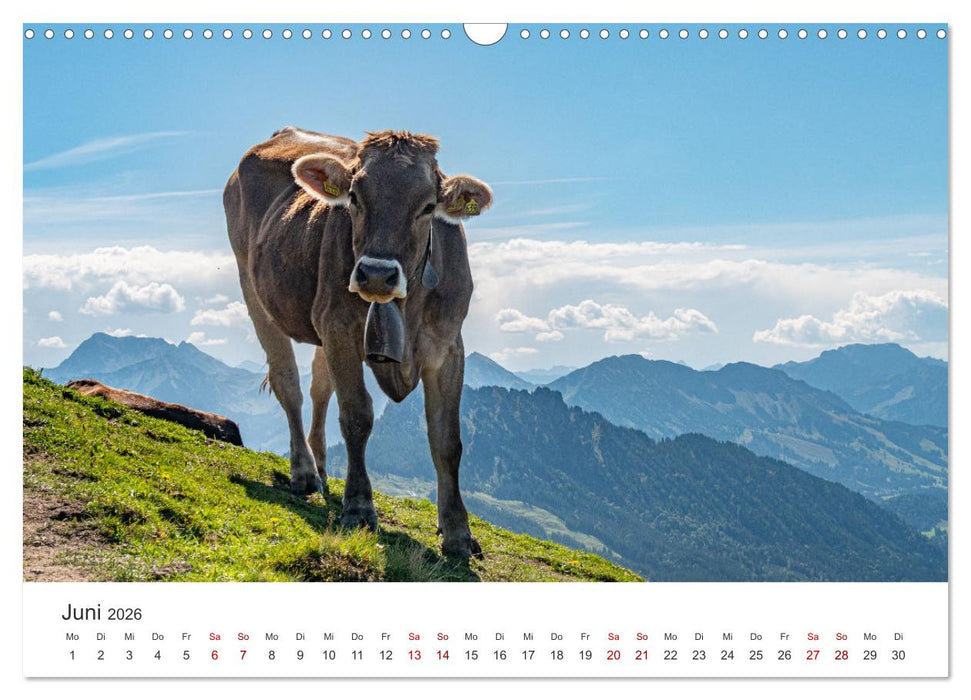 Naturwunder Berge (CALVENDO Wandkalender 2026)