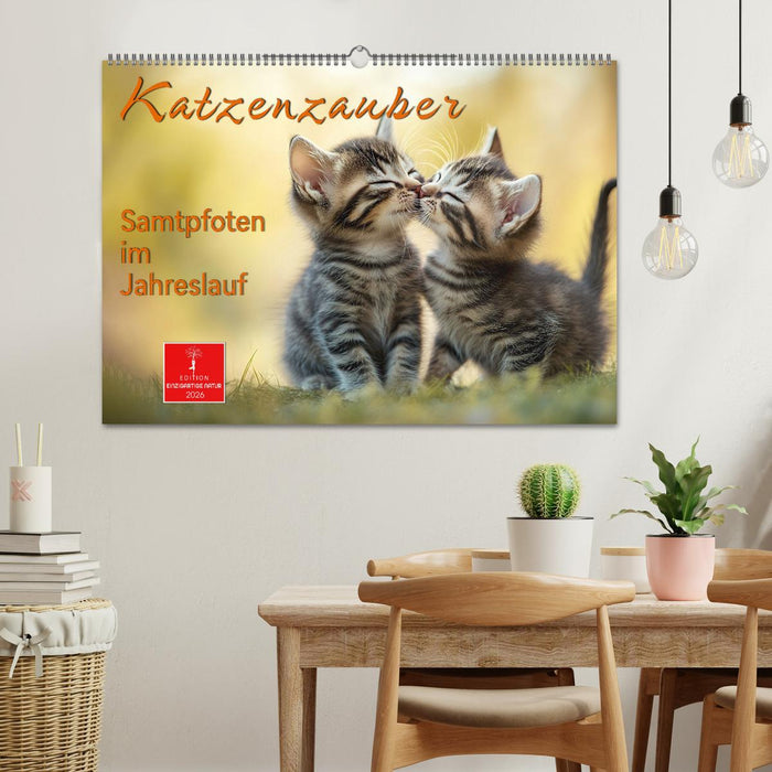 Katzenzauber - Samtpfoten im Jahreslauf (CALVENDO Wandkalender 2026)