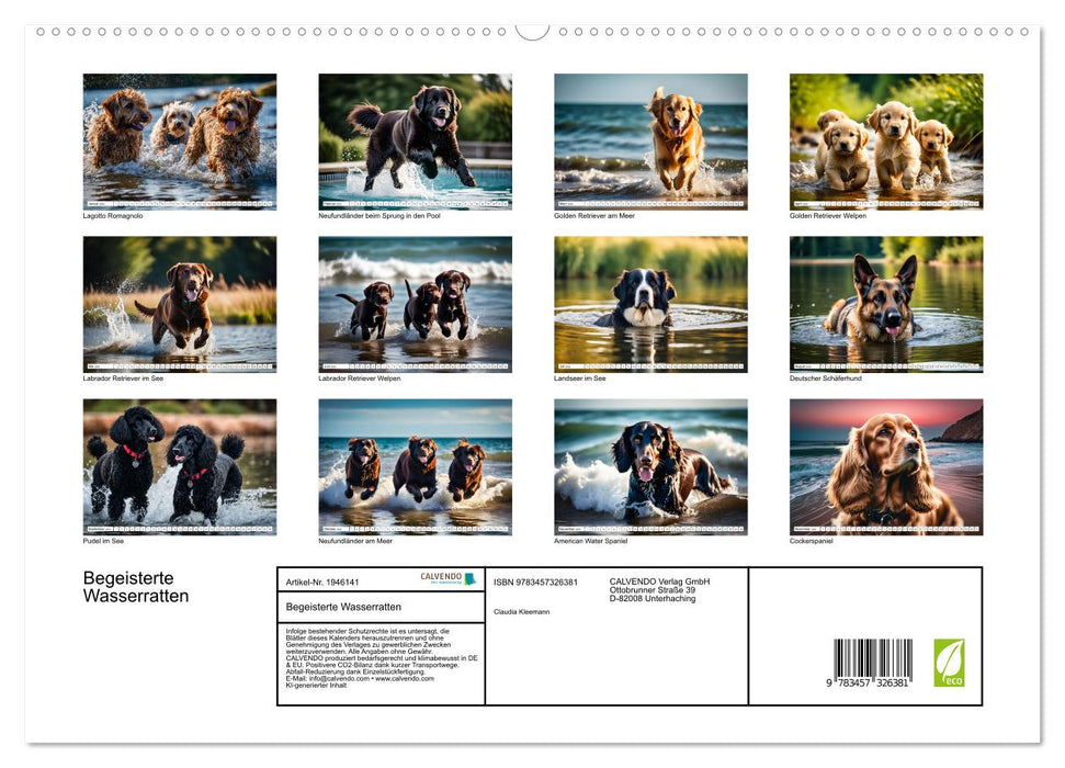 Begeisterte Wasserratten (CALVENDO Premium Wandkalender 2026)