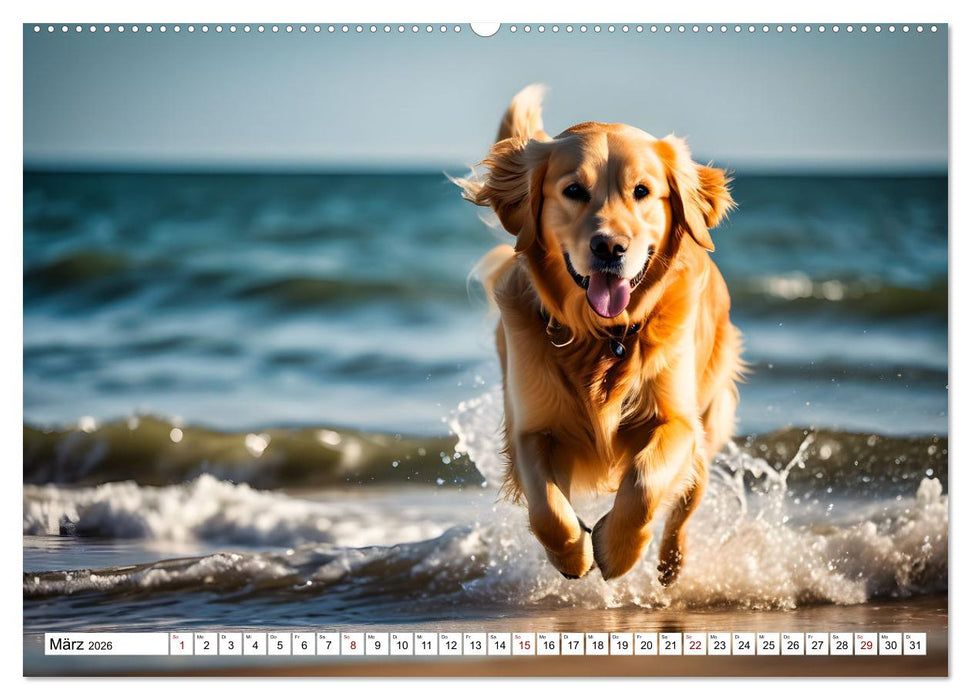 Begeisterte Wasserratten (CALVENDO Premium Wandkalender 2026)