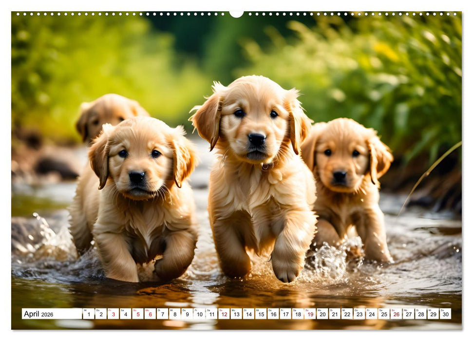 Begeisterte Wasserratten (CALVENDO Premium Wandkalender 2026)