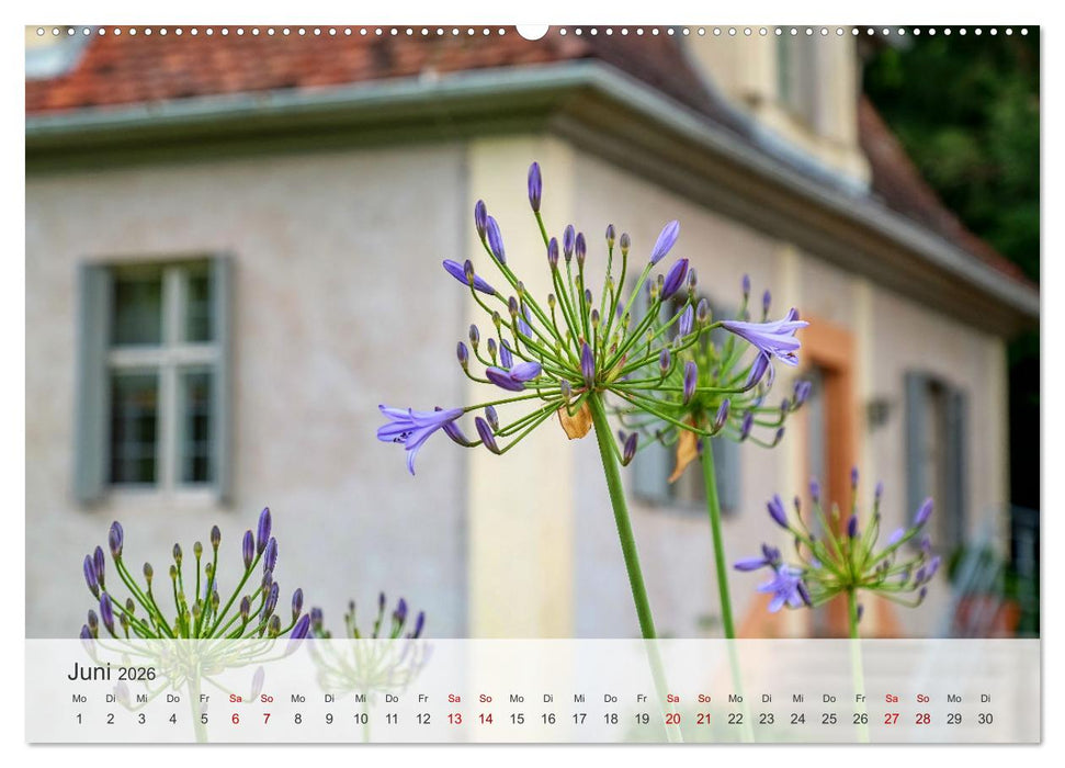 Schloss Favorite – Ein Park im Wandel der Jahreszeiten (CALVENDO Wandkalender 2026)