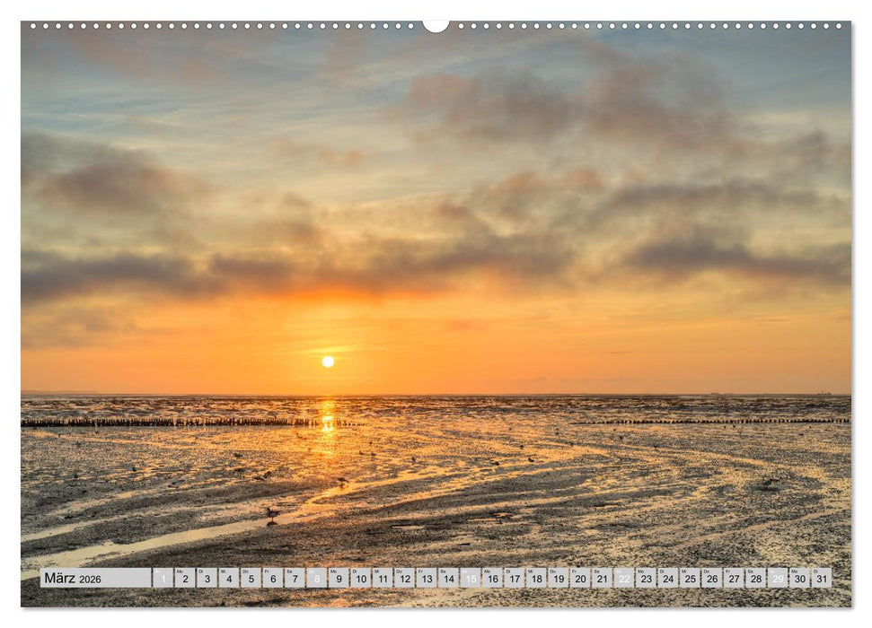 Wunderschöne Nordsee - Faszinierende Küstenlandschaften (CALVENDO Wandkalender 2026)