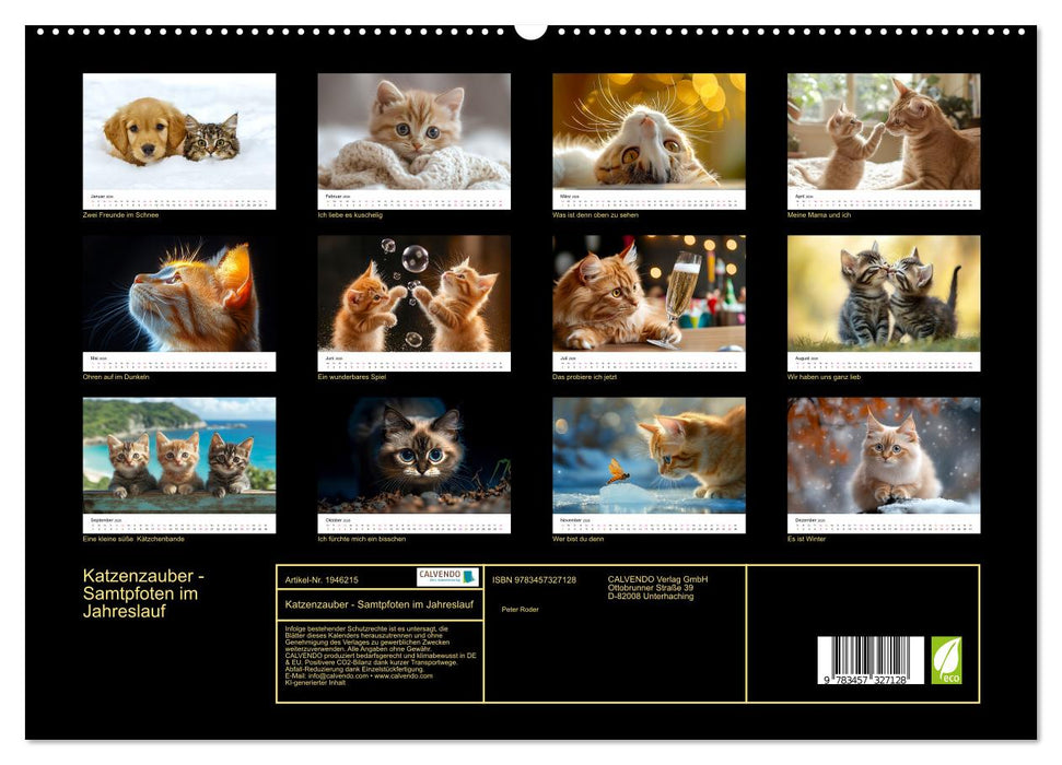 Katzenzauber - Samtpfoten im Jahreslauf (CALVENDO Premium Wandkalender 2026)