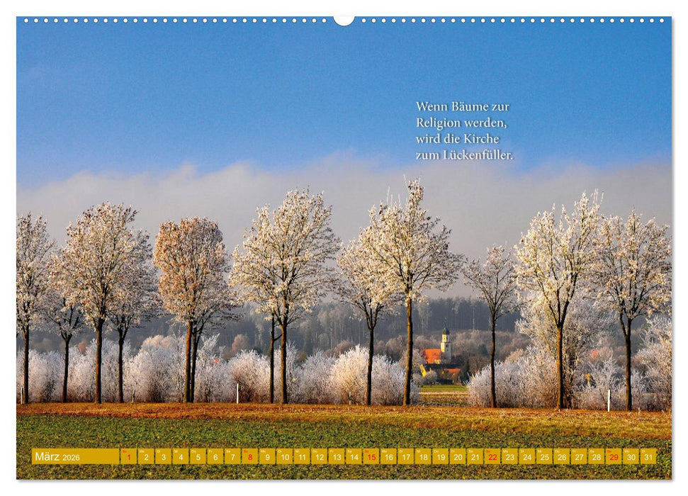 Rollentausch – Bebilderte Wortspielereien (CALVENDO Wandkalender 2026)