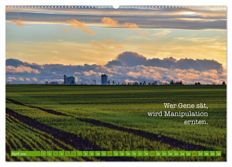 Rollentausch – Bebilderte Wortspielereien (CALVENDO Wandkalender 2026)