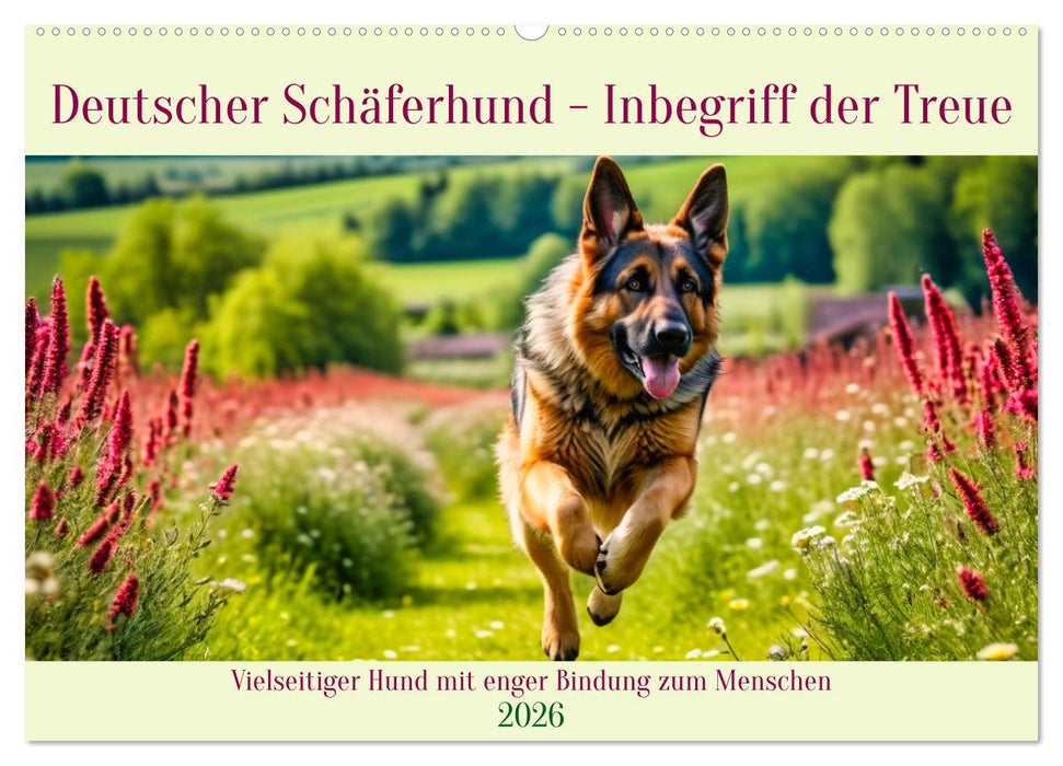 Deutscher Schäferhund - Inbegriff der Treue (CALVENDO Wandkalender 2026)