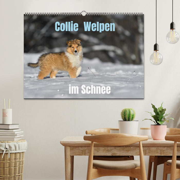 Collie Welpen im Schnee (CALVENDO Wandkalender 2026)