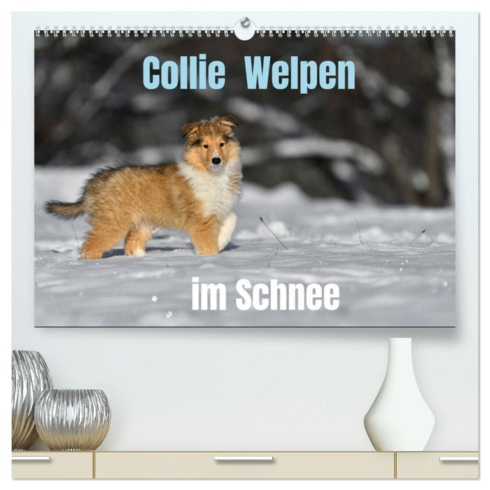 Collie Welpen im Schnee (CALVENDO Premium Wandkalender 2026)