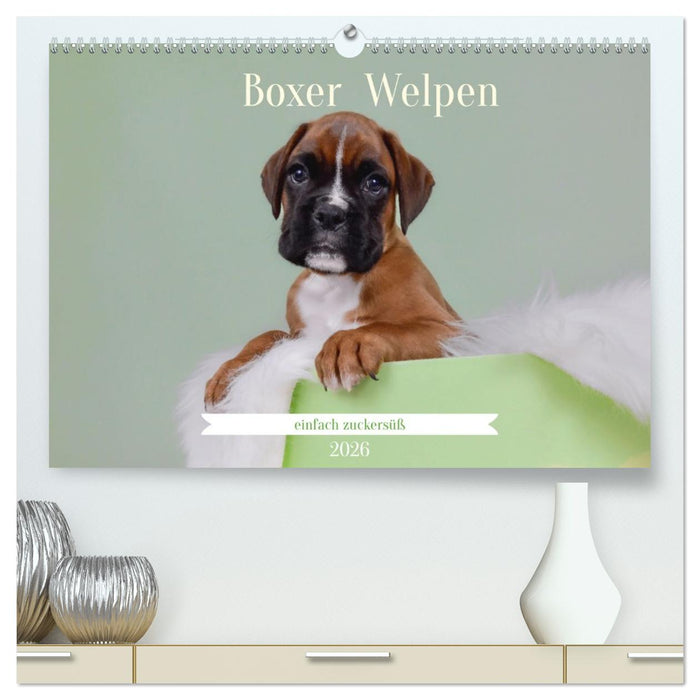 Boxer Welpen einfach zuckersüß (CALVENDO Premium Wandkalender 2026)