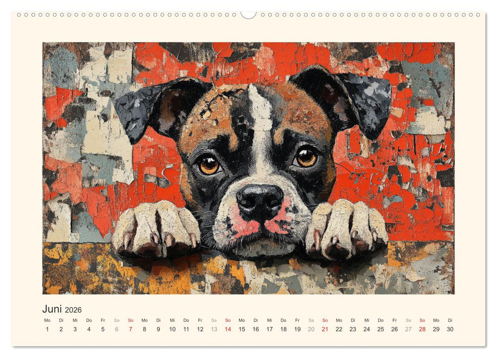 Bunte Boxer (CALVENDO Wandkalender 2026)