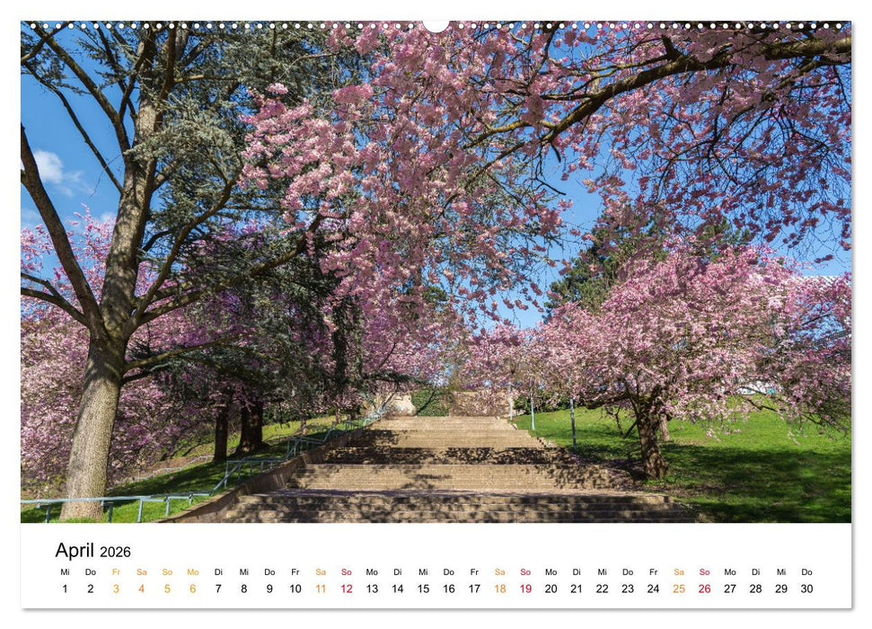 Kassel - wunderschöne Stadt in Nordhessen (CALVENDO Premium Wandkalender 2026)