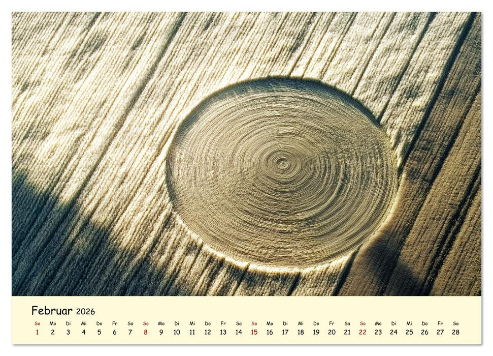 UFOs und Aliens - Außerirdische Spuren, verborgene Wahrheit oder bloße Fantasie (CALVENDO Wandkalender 2026)