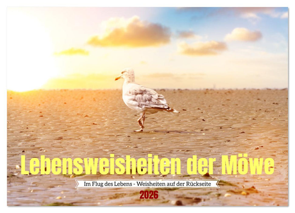 Lebensweisheiten der Möwe - Im Flug des Lebens (CALVENDO Wandkalender 2026)