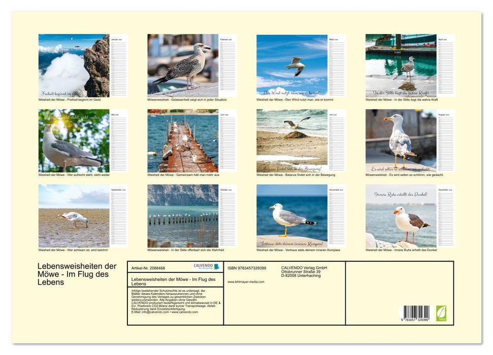 Lebensweisheiten der Möwe - Im Flug des Lebens (CALVENDO Wandkalender 2026)