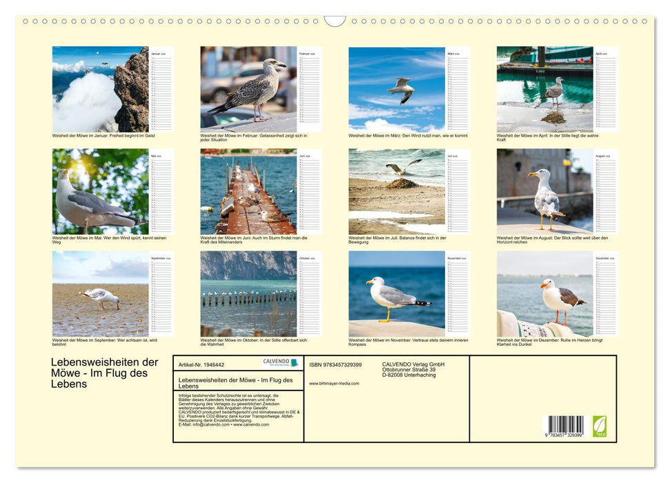 Lebensweisheiten der Möwe - Im Flug des Lebens (CALVENDO Wandkalender 2026)