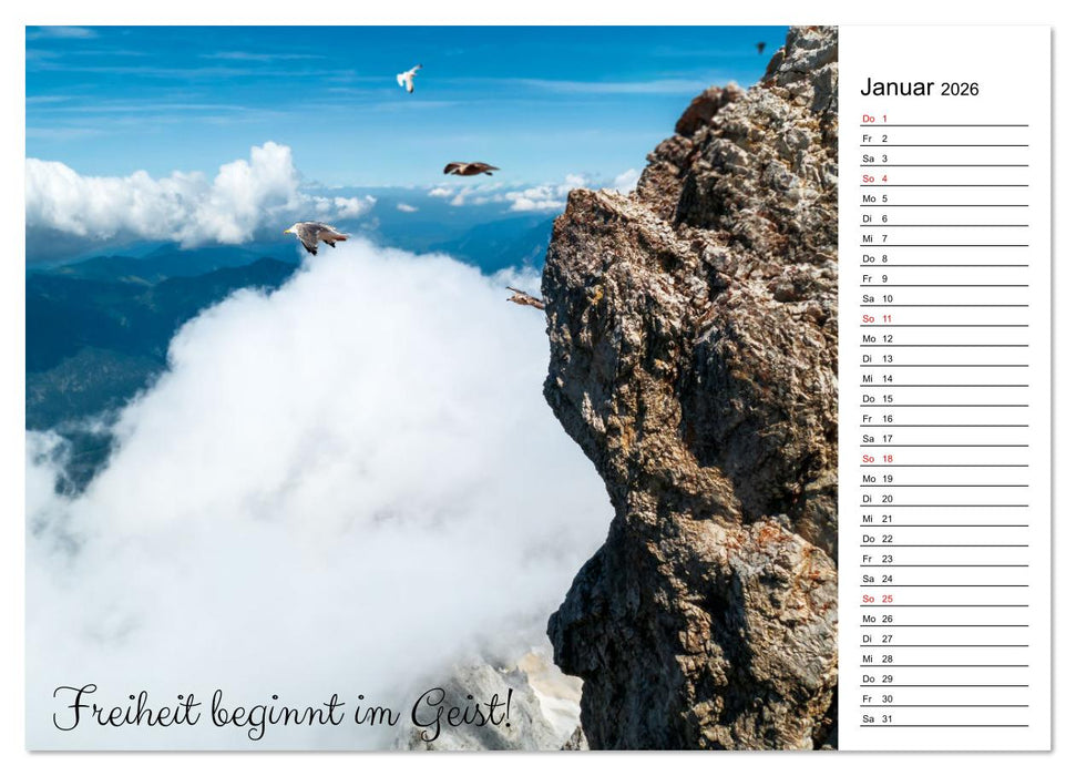 Lebensweisheiten der Möwe - Im Flug des Lebens (CALVENDO Wandkalender 2026)