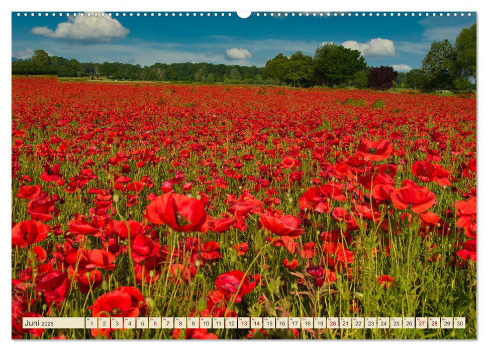 Landkreis Emmendingen - Streifzüge durch den Südwesten (CALVENDO Wandkalender 2026)