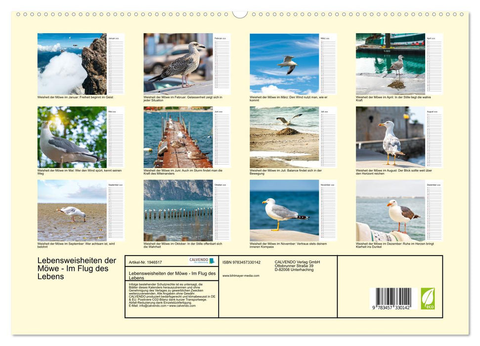 Lebensweisheiten der Möwe - Im Flug des Lebens (CALVENDO Premium Wandkalender 2026)