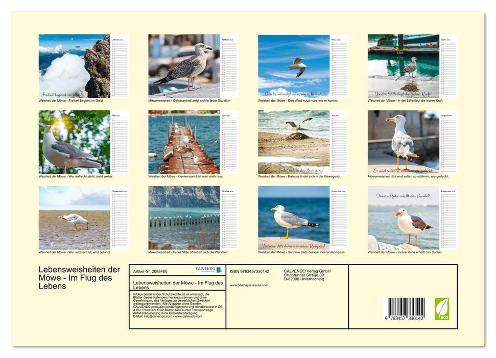 Lebensweisheiten der Möwe - Im Flug des Lebens (CALVENDO Premium Wandkalender 2026)