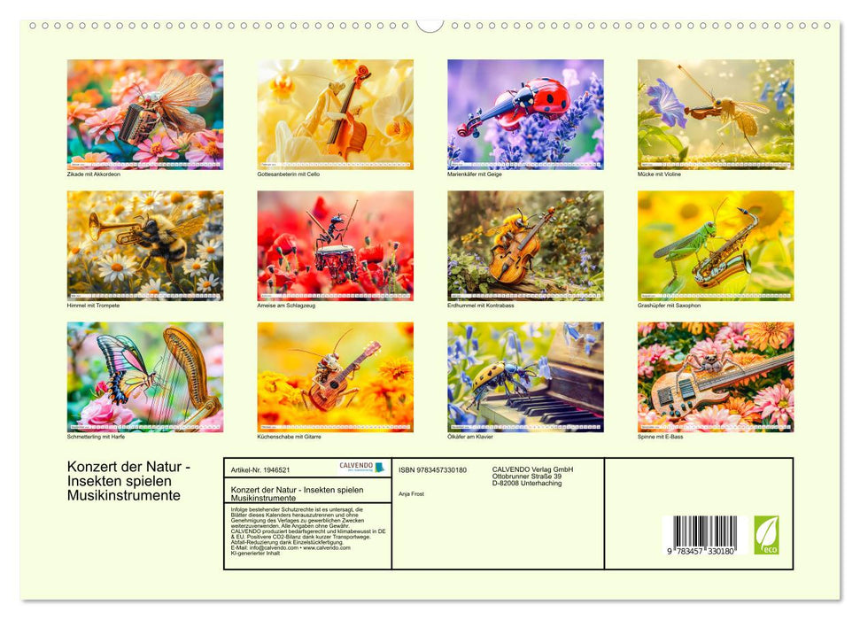 Konzert der Natur - Insekten spielen Musikinstrumente (CALVENDO Premium Wandkalender 2026)