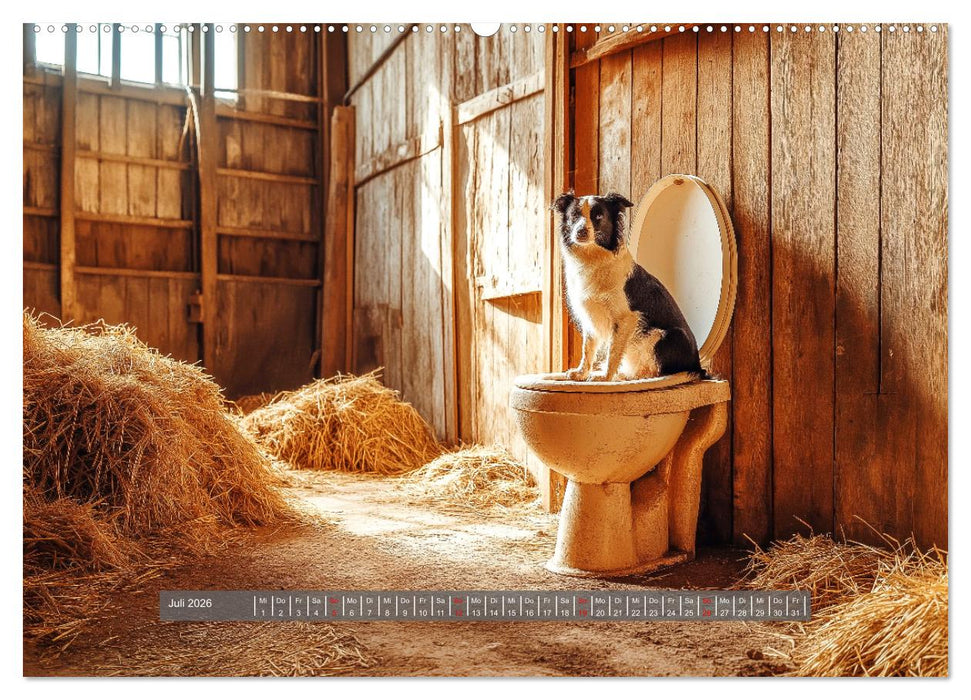 Sitz, Platz, Spül - Hunde auf dem Thron (CALVENDO Premium Wandkalender 2026)