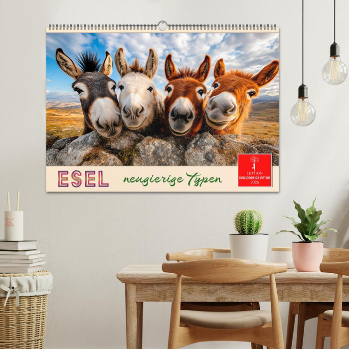 Esel - neugierige Typen (CALVENDO Wandkalender 2026)