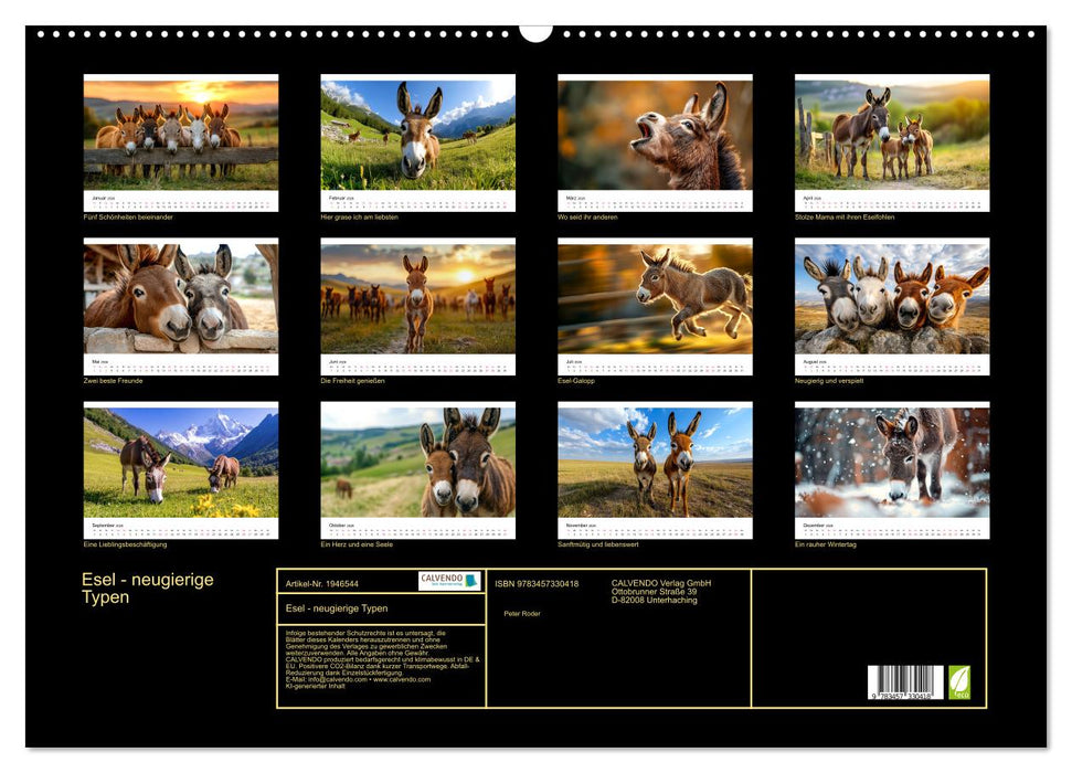 Esel - neugierige Typen (CALVENDO Wandkalender 2026)