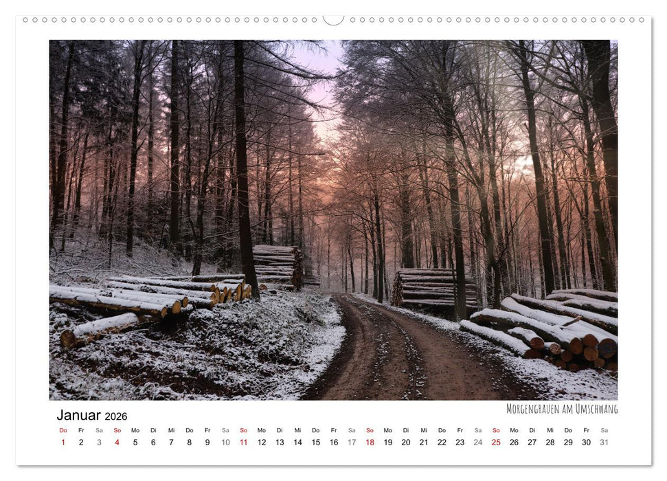 Zauberhaftes Witzenhausen (CALVENDO Wandkalender 2026)