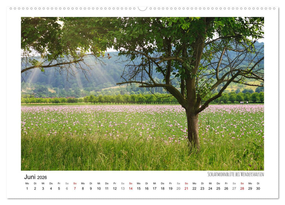 Zauberhaftes Witzenhausen (CALVENDO Wandkalender 2026)