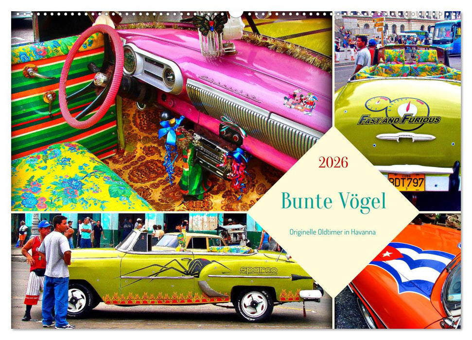 Bunte Vögel - Originelle Oldtimer in Havanna (CALVENDO Wandkalender 2026)