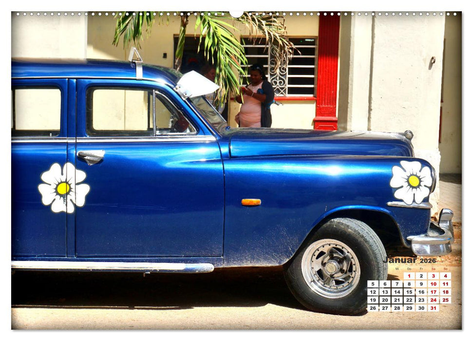 Bunte Vögel - Originelle Oldtimer in Havanna (CALVENDO Wandkalender 2026)